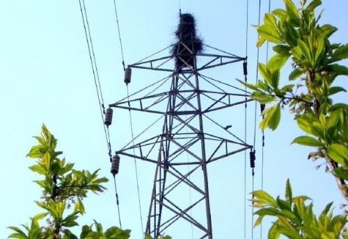 文章配圖.jpg 文章配圖.jpg