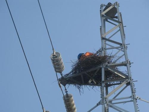 u=539976481,395595700&fm=27&gp=0.jpg u=539976481,395595700&fm=27&gp=0.jpg