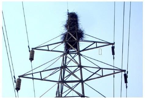 u=331560324,3496905724&fm=27&gp=0.jpg u=331560324,3496905724&fm=27&gp=0.jpg