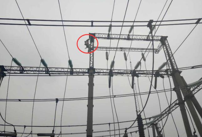 綜合型智能超聲波驅(qū)鳥器 為保護(hù)變電站驅(qū)鳥提供有力支持 綜合型智能超聲波驅(qū)鳥器 為保護(hù)變電站驅(qū)鳥提供有力支持