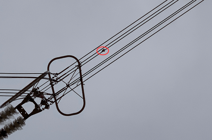 初心如磐,特力康高壓輸電線路導(dǎo)線溫度在線監(jiān)測(cè)系統(tǒng) 初心如磐,特力康高壓輸電線路導(dǎo)線溫度在線監(jiān)測(cè)系統(tǒng)