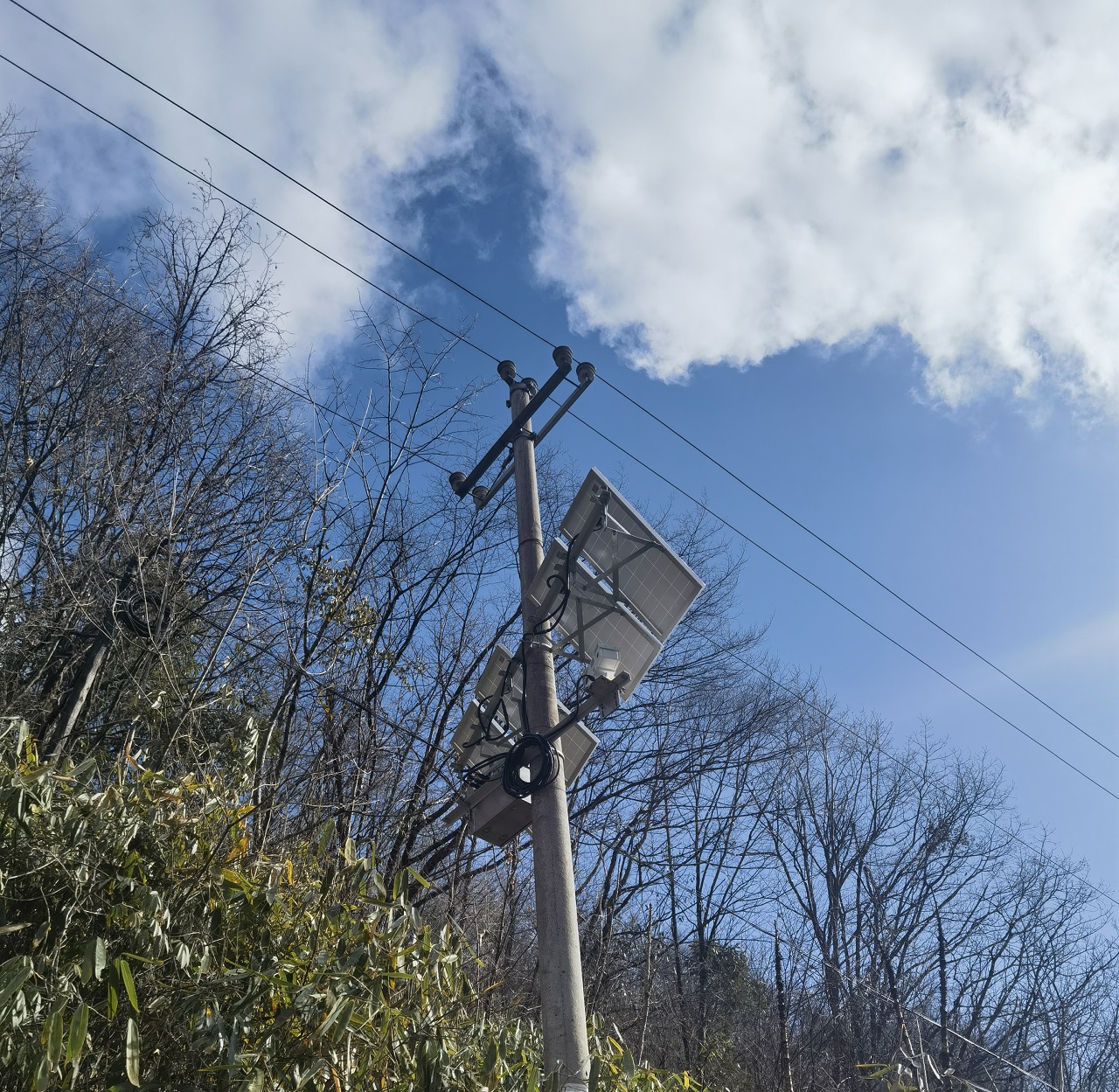 深圳特力康輸電線路防山火視頻監控系統